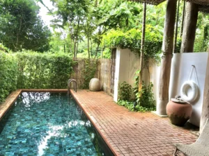 aménagement jardin avec piscine