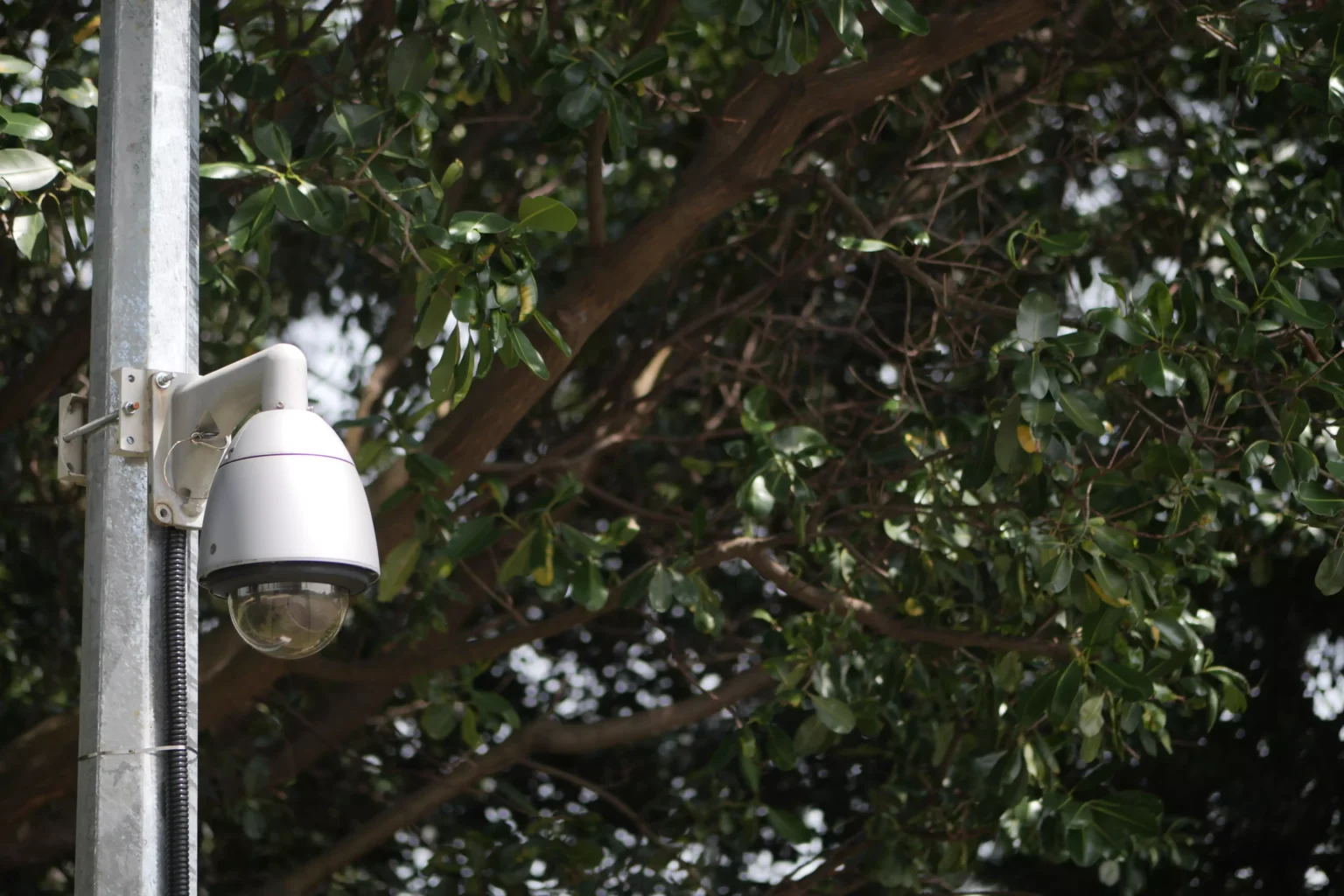 alarme extérieur pour jardin