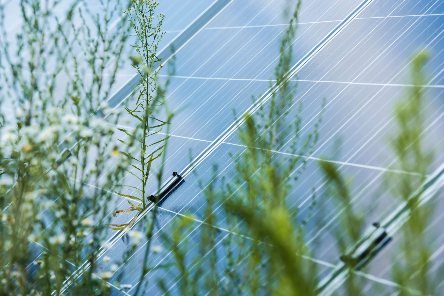 énergie verte pour les nuls
