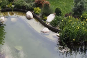 bache pour bassin