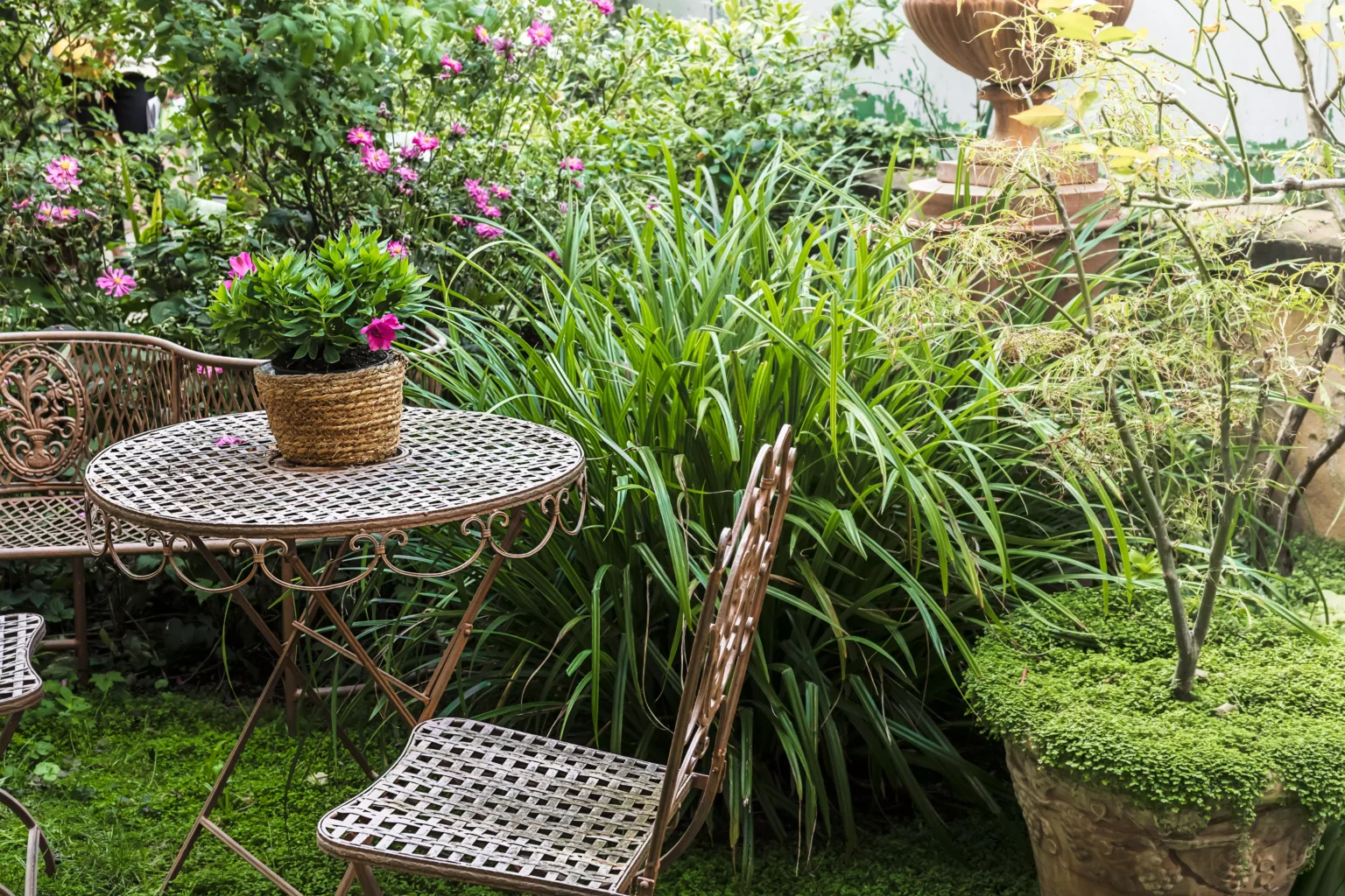 décors jardin extérieur