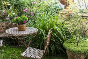 décors jardin extérieur