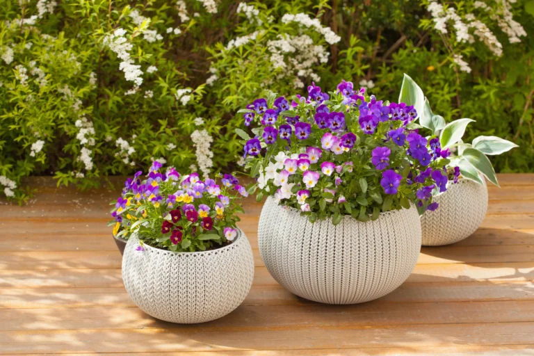 vasque jardin extérieur