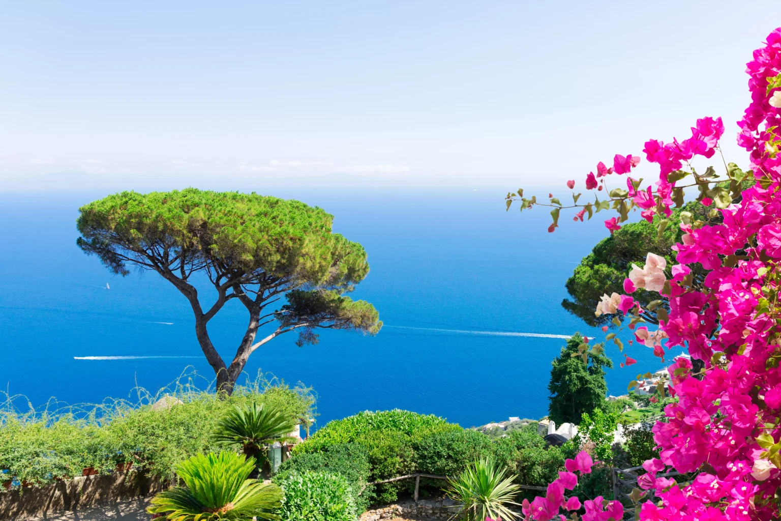 aménagement jardin méditerranéen