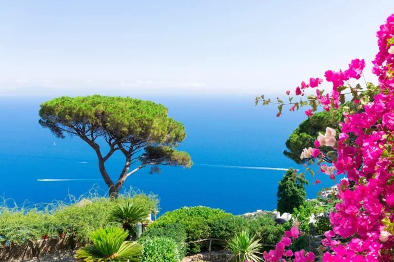aménagement jardin méditerranéen