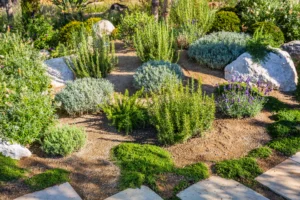 plante qui supporte la chaleur et le soleil
