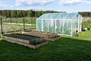 serre de jardin 
