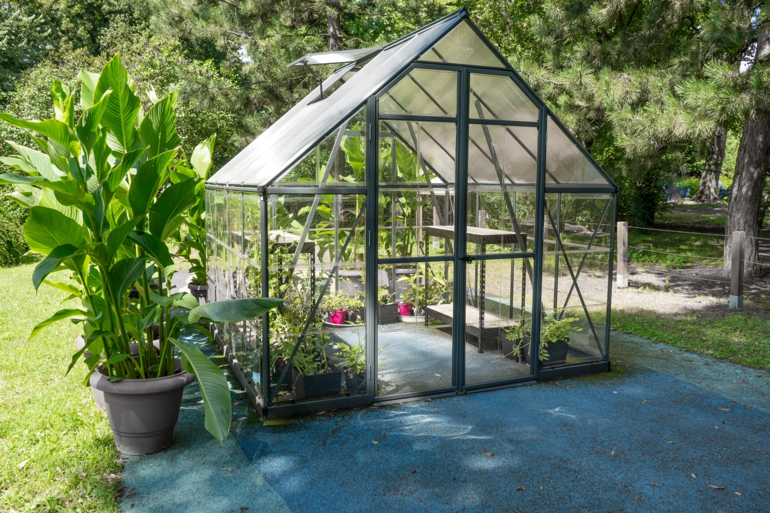 serre de jardin