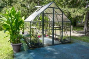 serre de jardin