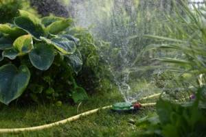 arrosage jardin forte chaleur