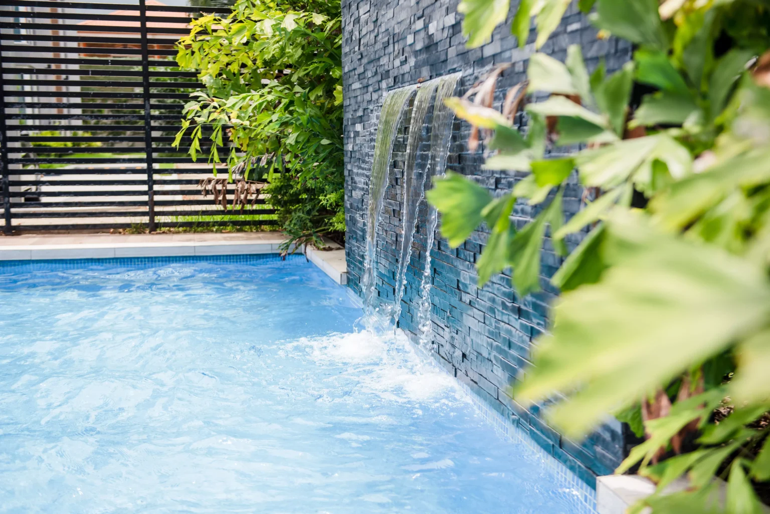 type de piscine