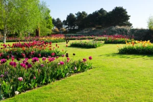 types de jardin
