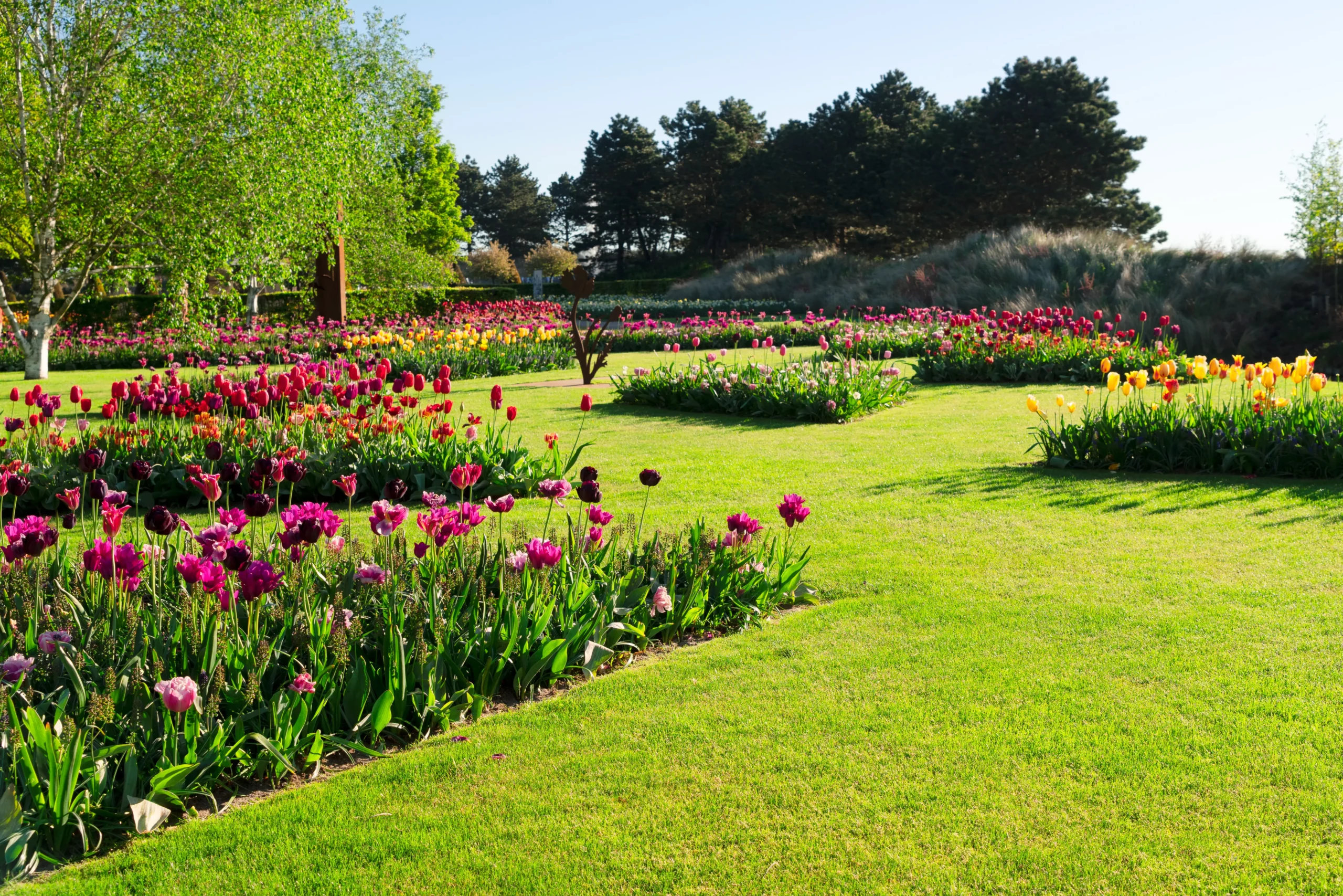 types de jardin