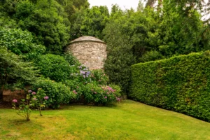 types de jardin