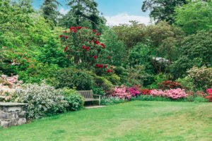 aménager un jardin en longueur
