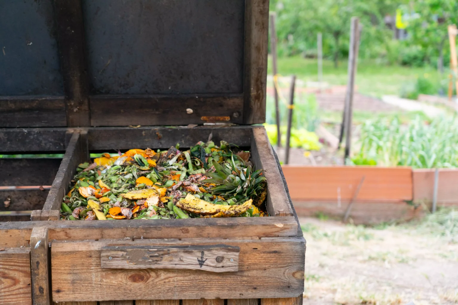 compost dans le jardin