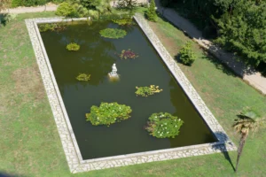 aménagement de bassin de jardin