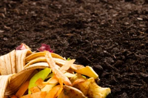 compost dans le jardin