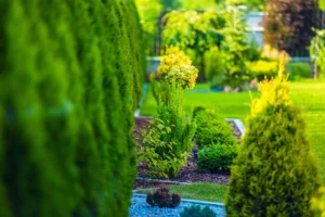 devis jardin