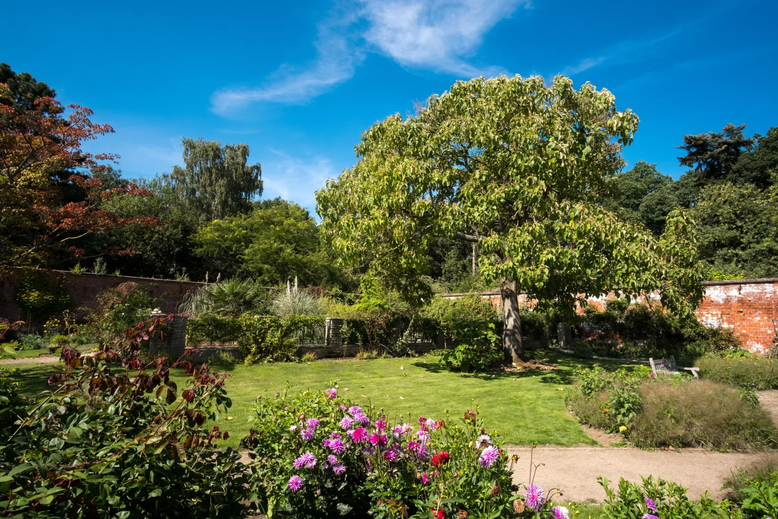 devis jardin