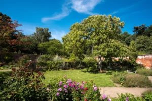 devis jardin