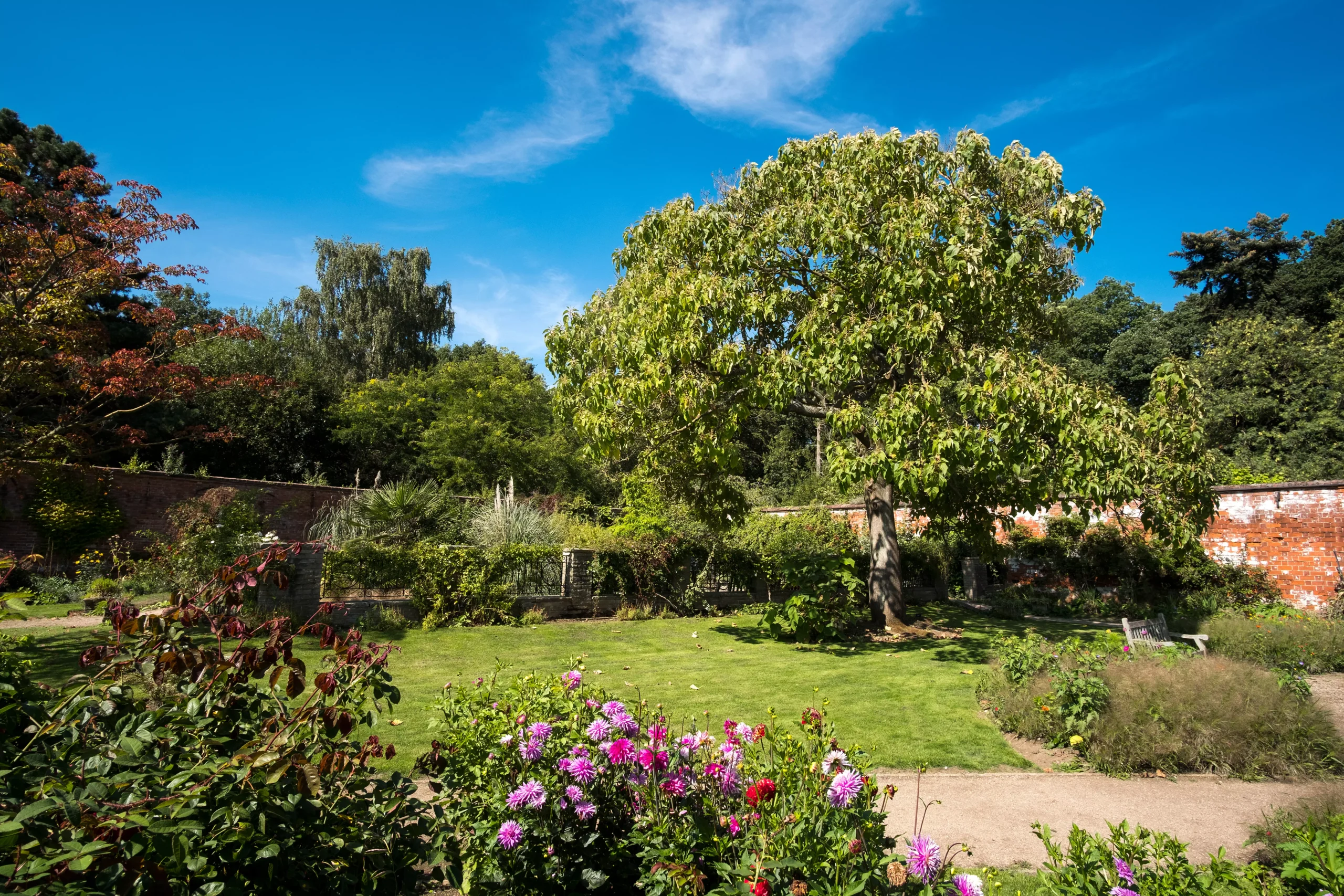 devis jardin