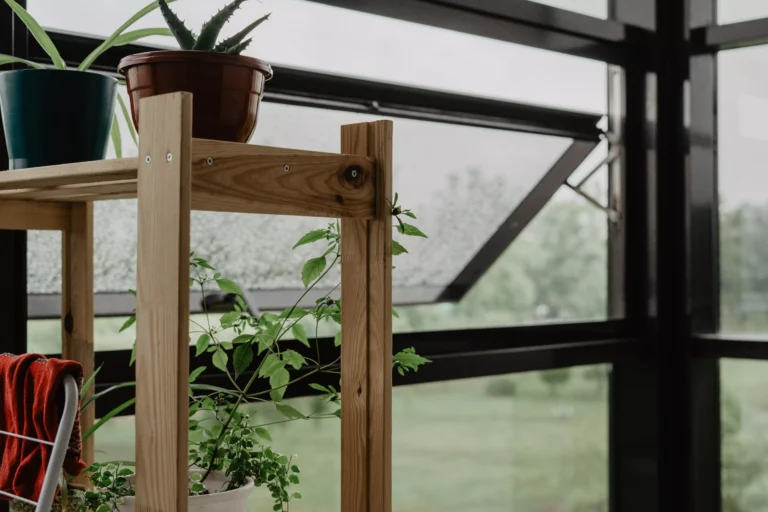 serre de jardin en polycarbonate