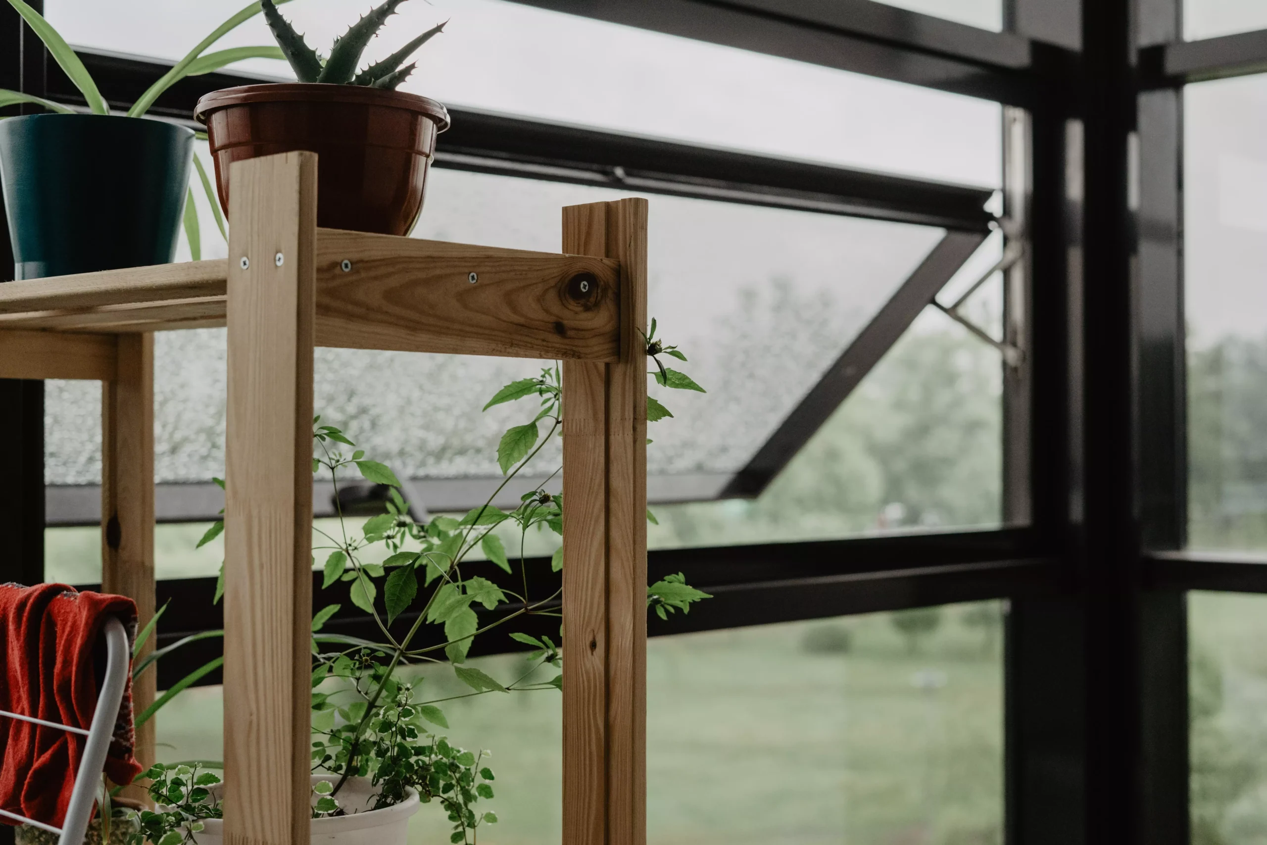 serre de jardin en polycarbonate