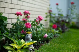comment aménager son jardin devant la maison