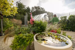 aménagement de bassin de jardin