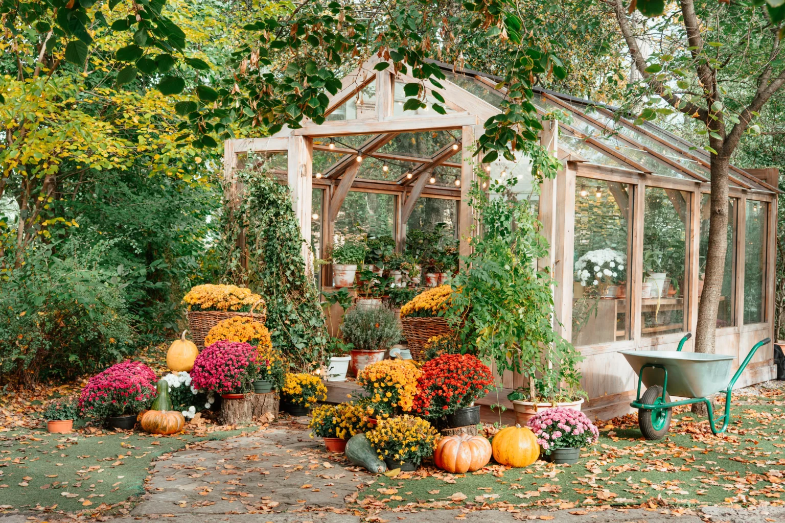 Que planter en automne