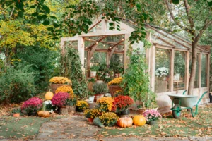 Que planter en automne
